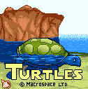 Turtles